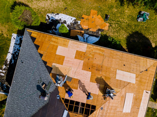 Best Local Roofing Companies  in Grayling, MI