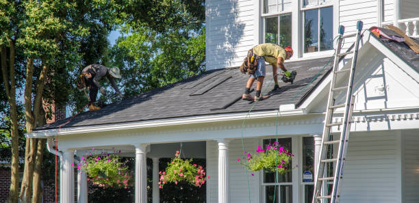 Best Metal Roofing Contractor  in Grayling, MI